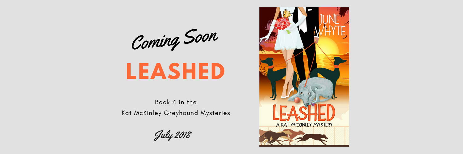 Leashed Coming Soon - Leashed Coming Soon