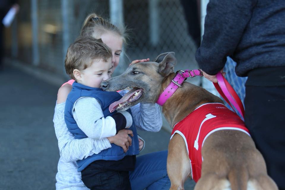 Greyhounds so love kids 1 - Greyhounds so love kids